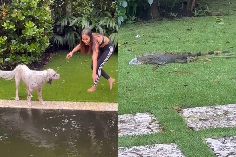 Mulher com cão ao lado de um réptil num gramado