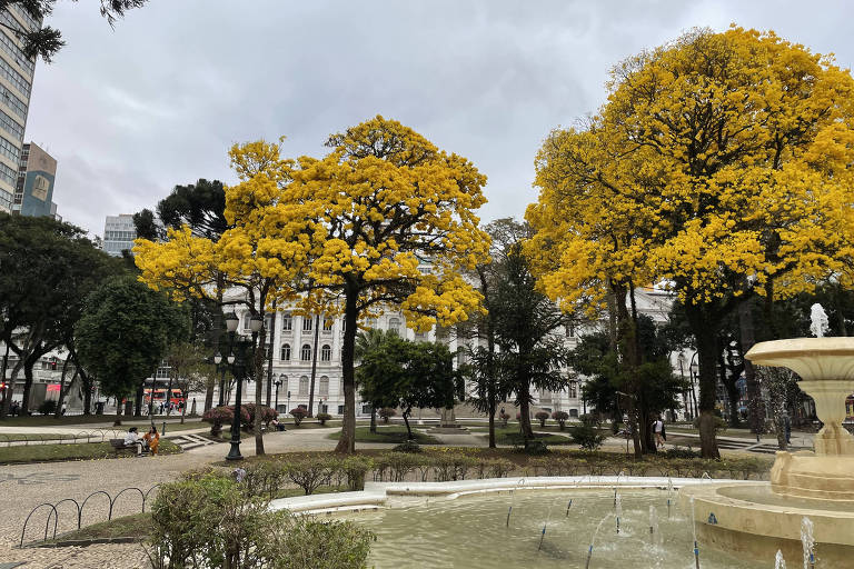 A imagem mostra destaca ipês-amarelos, cercados por gramados e arbustos. No primeiro plano, há uma fonte com jatos d'água. Ao fundo, é possível ver um edifício branco e algumas pessoas sentadas em um banco.