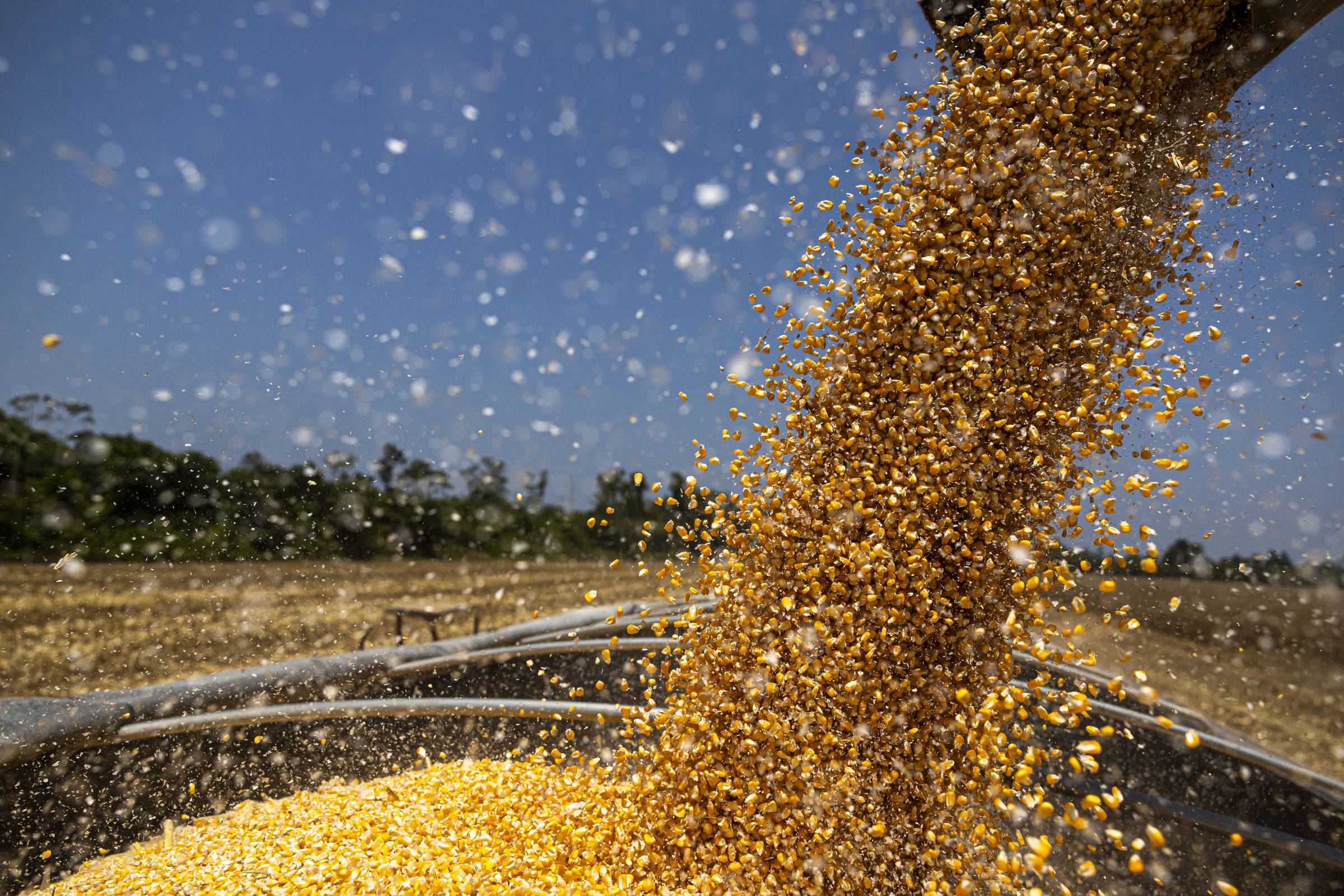 Medida para baratear alimentos é inócua e mostra que governo não entende do assunto, dizem associações