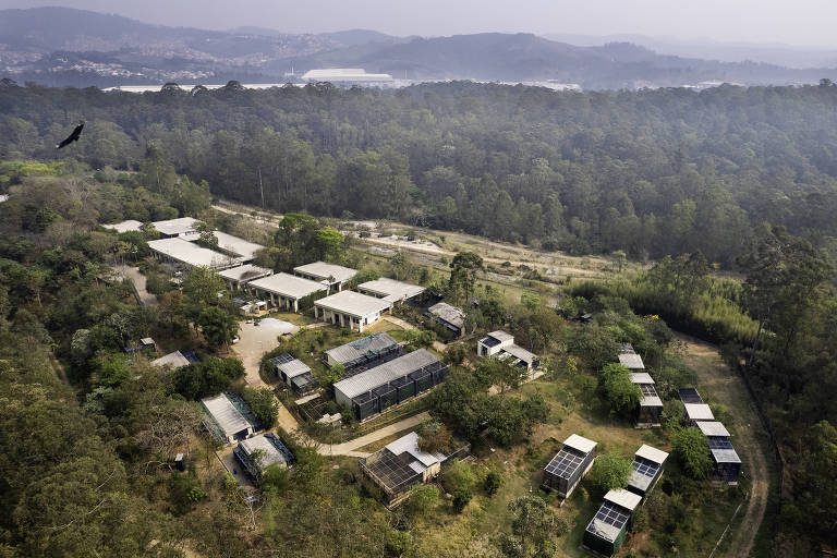 A imagem mostra uma vista aérea de uma área rural com várias construções dispostas em um terreno cercado por vegetação densa. As edificações são de diferentes tamanhos e formatos, algumas com telhados planos e outras com telhados inclinados. O ambiente é predominantemente verde, com árvores e arbustos ao redor. Ao fundo, é possível ver uma cadeia de montanhas e uma leve neblina cobrindo a paisagem.