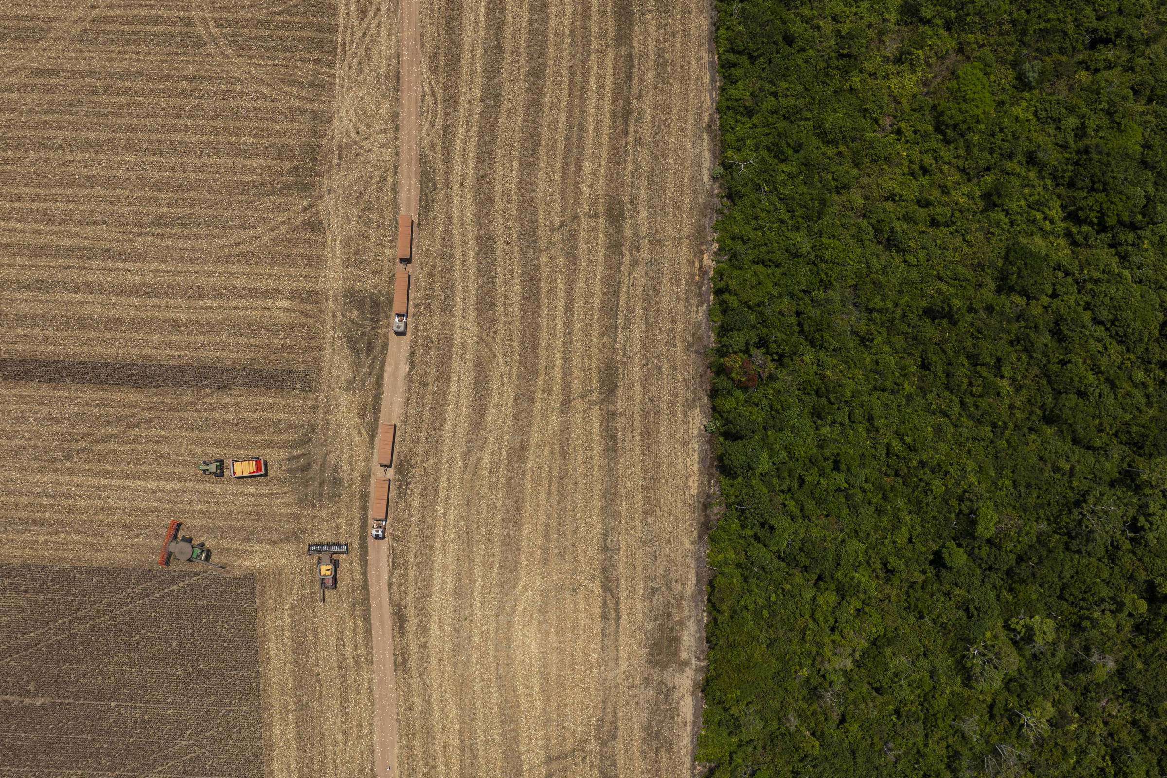 Desmatamento na Amazônia: R$ 412 milhões em perdas anuais!