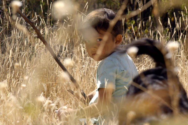 A imagem mostra uma criança de costas, segurando um galho, em um campo com grama alta e flores secas. Um cão está visível ao lado da criança, com a cauda levantada. O fundo é desfocado, destacando a criança e o cão.