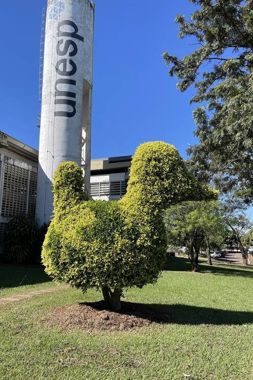 A imagem mostra uma escultura de arbusto podado em forma de ave, localizada em um gramado verde. Ao fundo, há um edifício e uma estrutura cilíndrica com a palavra 'Unesp' visível. O céu está claro e ensolarado.
