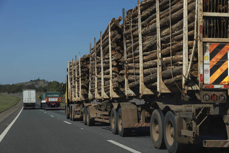 Última semana de outubro terá leilões de rodovias, serviço de esgoto e escolas