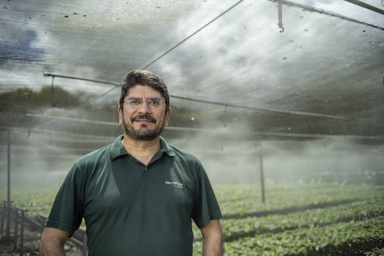 A imagem mostra um homem em pé em um viveiro de mudas, vestido com uma camisa polo verde que exibe o logotipo da "Belterra Agroflorestas". Ele está sorrindo levemente, e o fundo revela uma estrutura de cultivo com irrigação leve, criando uma névoa sutil no ar. As plantas estão organizadas em fileiras, indicando um ambiente agrícola controlado. O clima parece ser úmido, e a luz do dia é filtrada por uma cobertura acima, sugerindo um ambiente de trabalho protegido.