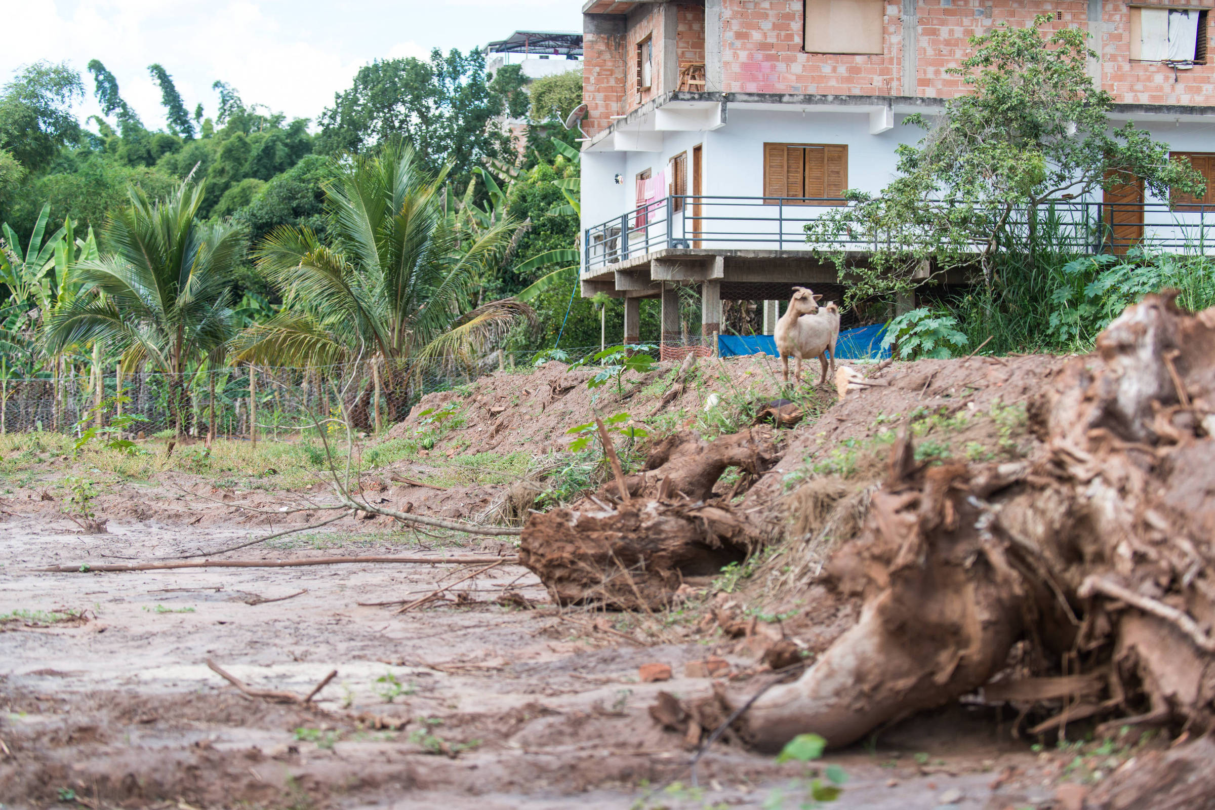Escritório britânico terá que pagar R$ 5,7 mi a instituto por desistir de ação sobre Mariana
