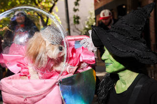 The annual Tompkins Square Halloween Dog Parade in New York