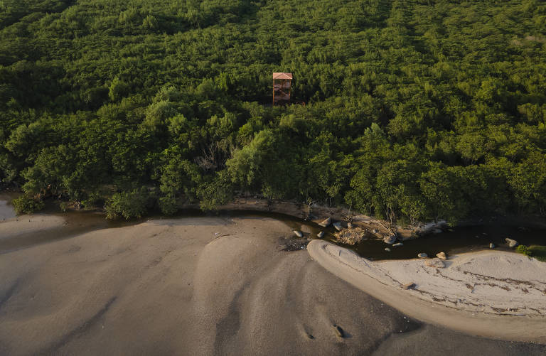 A imagem mostra uma vista aérea de uma área de manguezal, com uma densa vegetação verde ao fundo. No centro, há uma torre de observação de madeira, visível entre as árvores. À frente, a margem do rio apresenta uma praia de areia clara, com algumas pedras e um pequeno fluxo de água.