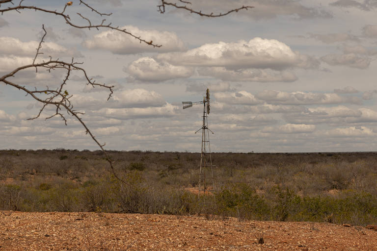 A imagem mostra uma paisagem árida com um cata-vento ao fundo. O céu está nublado, com nuvens dispersas. No primeiro plano, há um terreno seco e árido, com algumas plantas baixas e um galho seco visível à esquerda. A vegetação é escassa, caracterizando um ambiente semiárido.