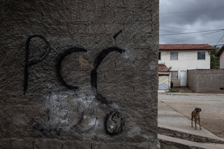 A imagem mostra um muro de concreto cinza com a inscrição 'PCC' em tinta preta. Ao fundo, há uma casa de dois andares com telhado vermelho e uma área pavimentada. Um cão está presente na calçada, próximo ao muro.