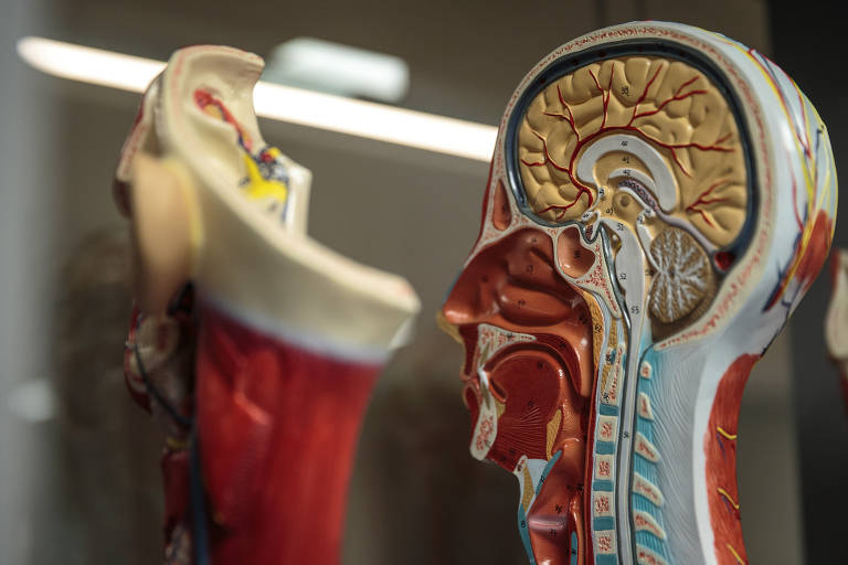 O Ministério da Saúde publicou uma portaria em novembro de 2023 para atualizar a lista de doenças do trabalho. A ansiedade entrou no grupo