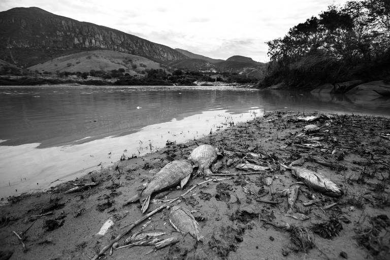 Enfim, um acordo para indenizar as vítimas de Mariana