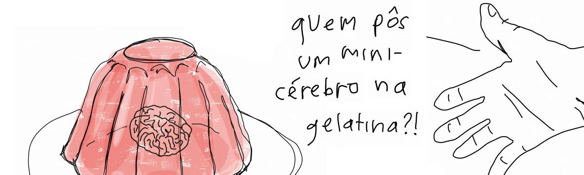 1) A tirinha de Estela May, publicada em 28/10/24, traz uma gelatina vermelha com um mini cérebro dentro e uma mão apontando que indaga “quem pôs um mini cérebro na gelatina?!”.