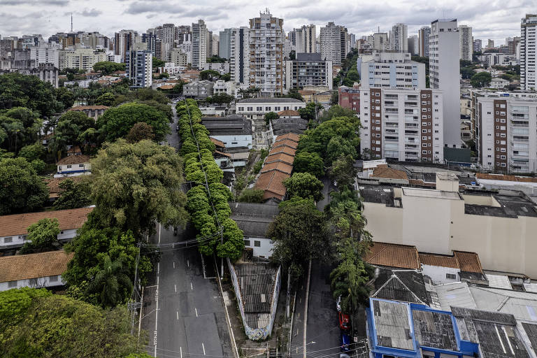 A imagem mostra uma vista panorâmica de uma área urbana, com prédios altos ao fundo e casas de um andar à frente. Há uma grande quantidade de árvores e vegetação ao longo das ruas, que são largas e bem definidas. O céu está nublado, e a cidade parece ser densa em termos de construção.