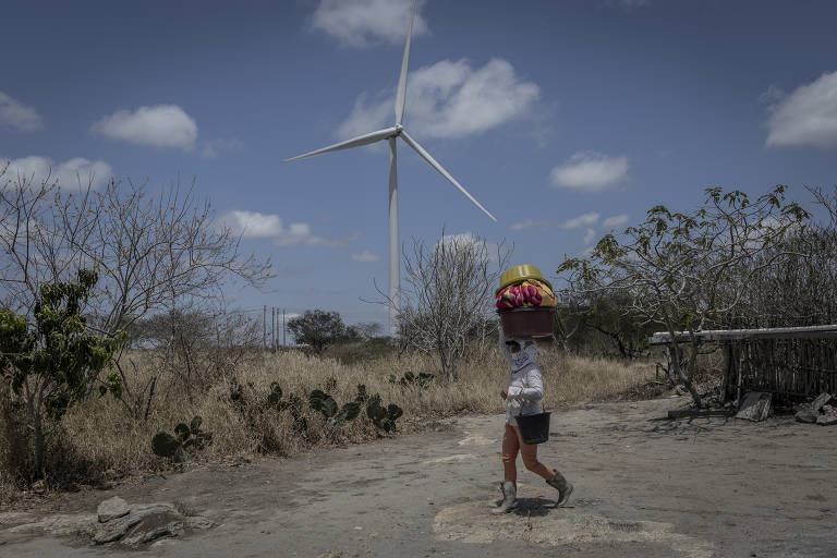 Uma pessoa caminha por um caminho de terra, carregando dois cestos em cima da cabeça e um balde em uma das mãos. Ao fundo, há uma turbina eólica e vegetação seca, com algumas árvores e cactos visíveis. O céu está parcialmente nublado.