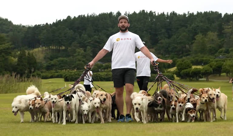 Canadense conquista recorde ao caminhar com 38 cachorros