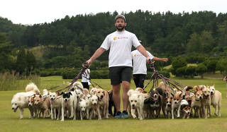 Homem leva 38 cachorros para passear ao mesmo tempo