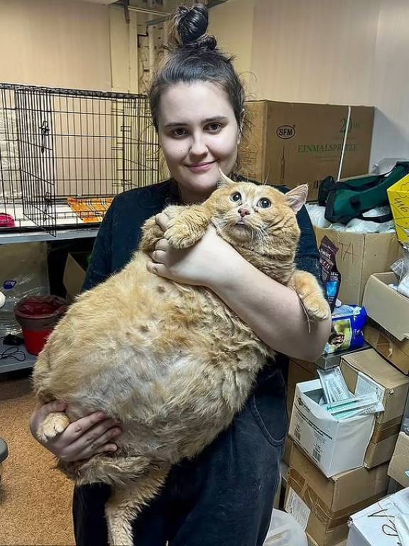 Kroshik, o gato mais gordo do mundo