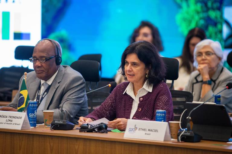 Ministra Nísia Trindade em reunião do G20