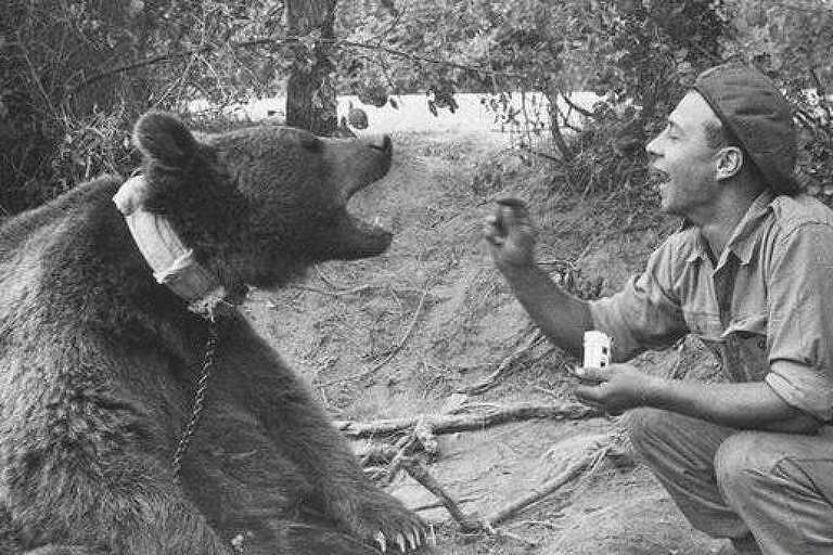 Um soldado do Exército polonês de boina jogando comida na boca de Wojtek, um urso pardo sírio de coleira