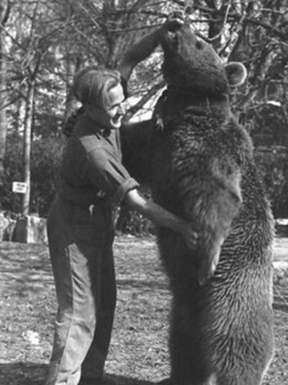 Um soldado ao lado do urso Wojtek erguido, com a mão na sua cabeça e uma das patas