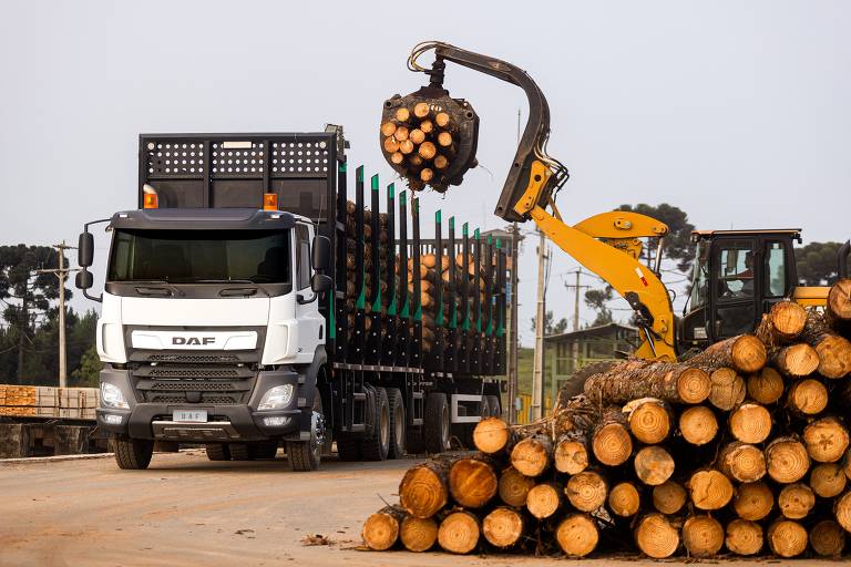 Caminhão DAF CF Florestal é carregado com toras de madeira