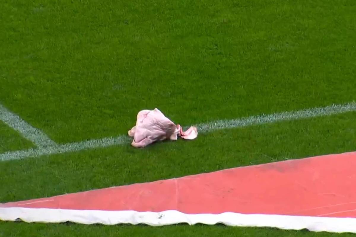 Torcedores do Corinthians jogam cabeça de porco no gramado durante clássico contra o Palmeiras