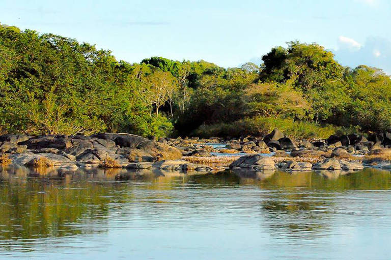 Rio com pedras e vegetação na margem