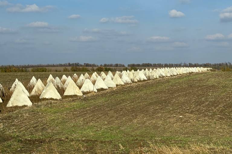 Dentes de tigre contra blindados na região de Donetsk