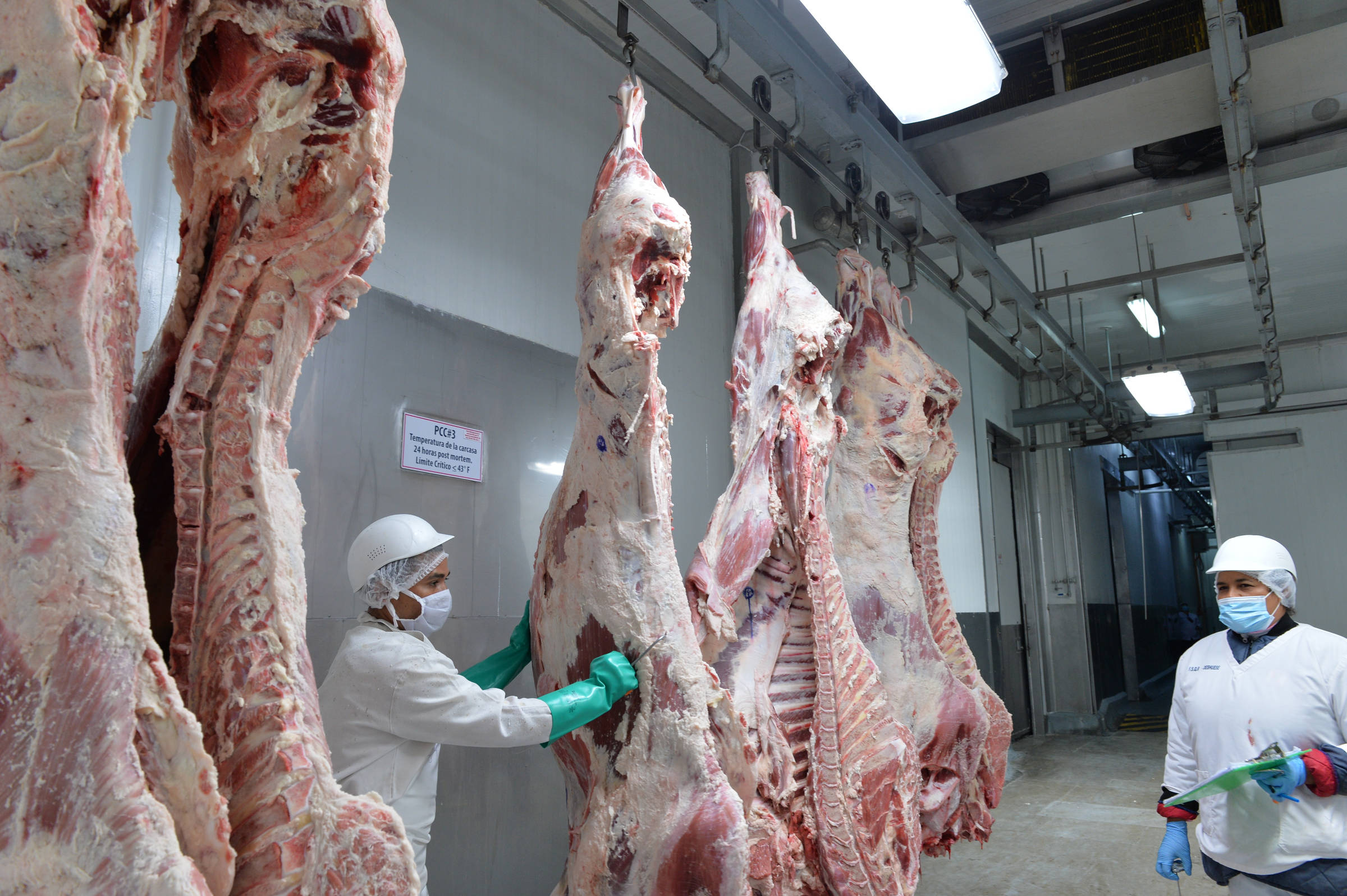 Aquecida, exportação de carne vai a 4,8 milhões de t no semestre