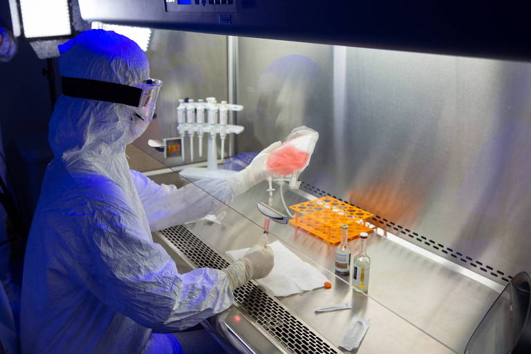 Imunoterapia com células CAR-T é aprovada em estudo de fase 2 para câncer gástrico