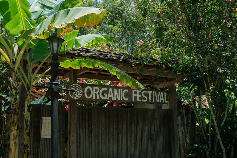 A imagem mostra a entrada de um festival orgânico， com um letreiro grande escrito 039;ORGANIC FESTIVAL039;. O letreiro é de madeira e está cercado por folhas de bananeira e vegetação verde. Ao lado， há um poste de luz e uma placa com informações， parcialmente visível. O ambiente é ensolarado e tropical.