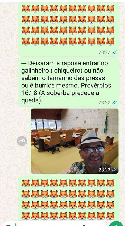 Nas redes sociais, Francisco publicou uma série de mensagens sobre o ataque, misturando declarações de cunho político e religioso; as postagens faziam referências a bombas e explosões e diziam que a Polícia Federal teria que desarmar o equipamento