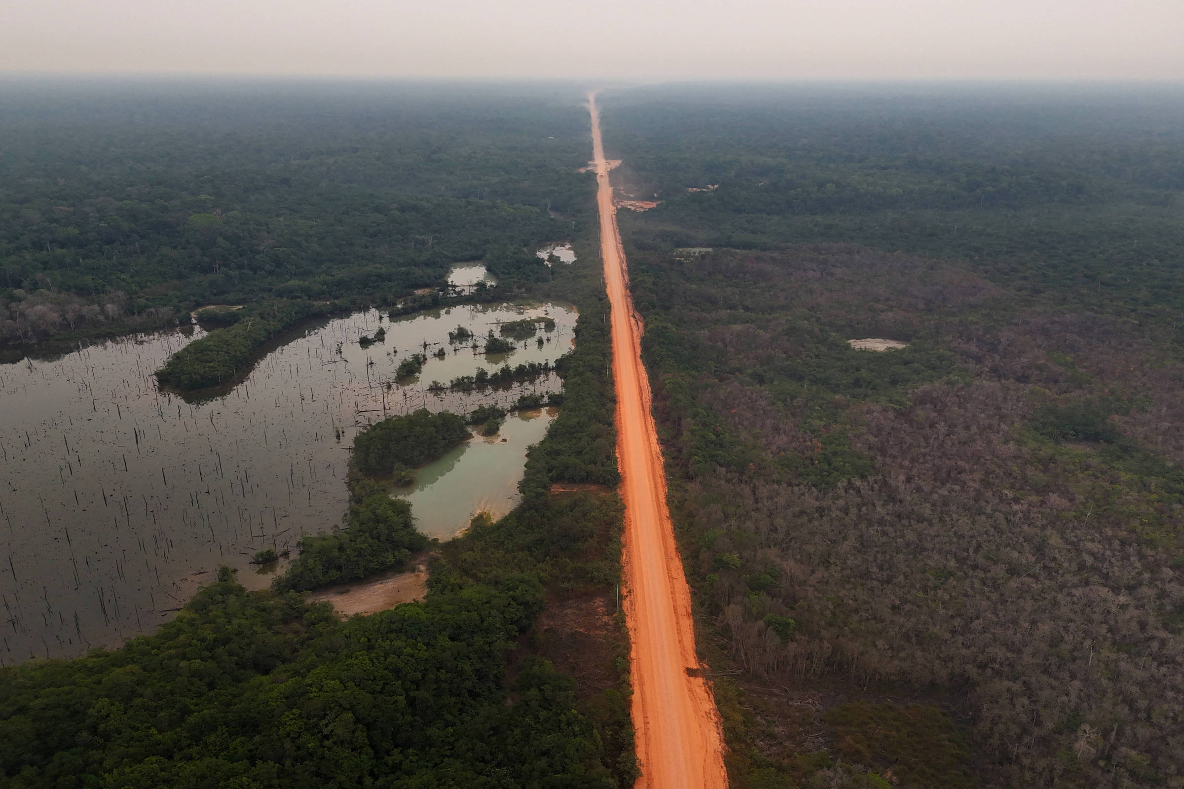 COP30: as duras críticas às políticas ambientais do Brasil publicadas em importante jornal científico