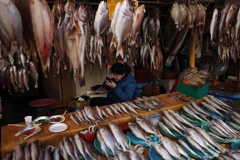 O Jagalchi Market， em Busan， é o maior mercado de peixes e frutos do mar da Coreia do Sul