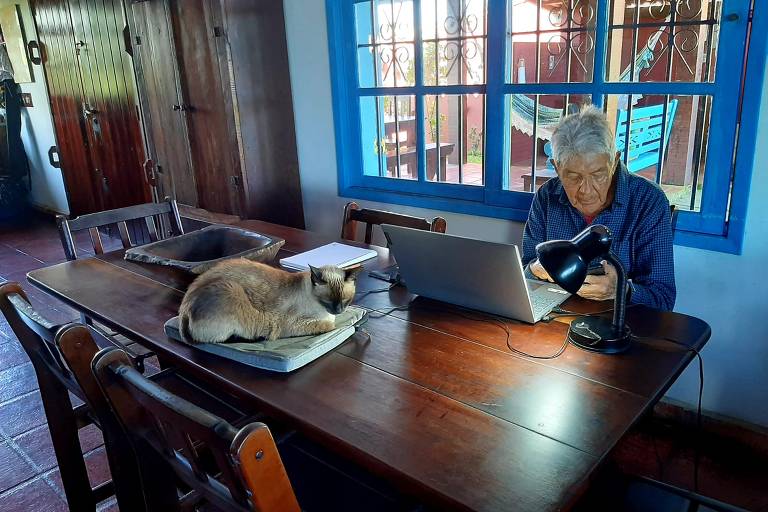 Uma pessoa idosa está sentada à mesa de madeira em um ambiente interno, utilizando um laptop. Ao lado dela, um gato está deitado sobre um caderno. O ambiente possui janelas azuis e paredes claras, com móveis de madeira ao fundo.