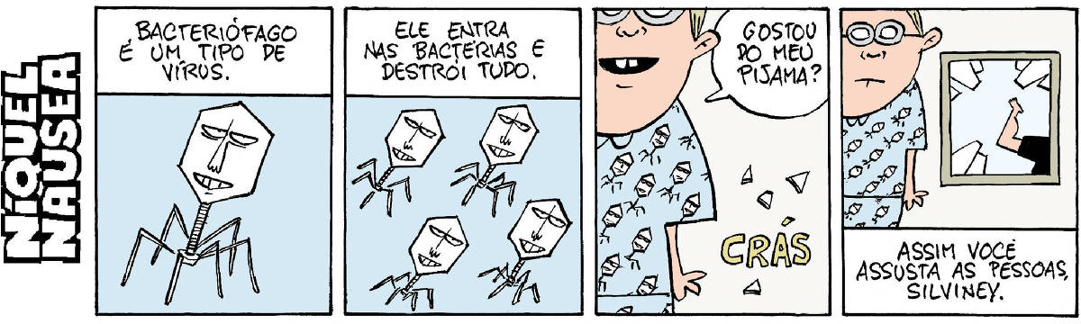 Quadrinho 01- Legenda: Bacteriófago é um tipo de vírus. Um bacteriófago preenche todo o quadrinho. Ele é um ser sextavado com o corpo fusiforme e pernas de aranha. Fundo do quadrinho azul. Quadrinho 02- Legenda: Ele entra nas bactérias e destrói tudo. Quatro bacteriófagos estão no quadrinho. Fundo do quadrinho azul. Quadrinho 03- Um cara de camisa azul com desenhos de bacteriófagos pergunta: Gostou do meu pijama? Ao lado do cara vemos a palavra CRÁS e cacos de vidro voando. Quadrinho 04- O cara está à esquerda e à direita uma janela com o vidro quebrado, e vemos apenas uma perna de alguém que rompeu a janela e está saindo correndo. Legenda: Assim você assusta as pessoas, Silviney.