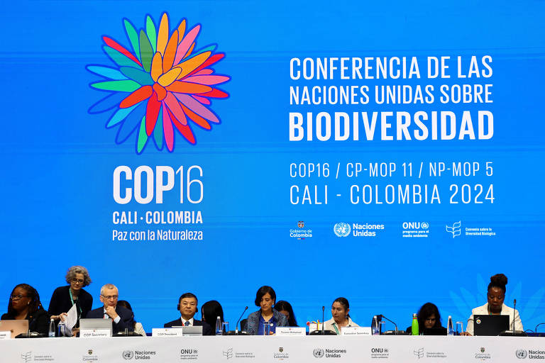 Sentada em frente a microfones， oito pessoas ocupam uma longa mesa， em frente a um telão azul， onde está escrito 039;COP16 - CALI COLÔMBIA - CONFERÊNCIA DE LAS NACIONES UNIDAS SOBRE BIODIVERSIDAD039; 