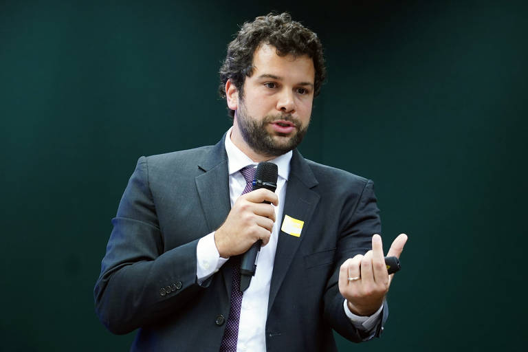 O economista e professor da Unicamp, Pedro Rossi, durante audiência pública sobre o Benefício de Prestação Continuada e Abono Salarial.