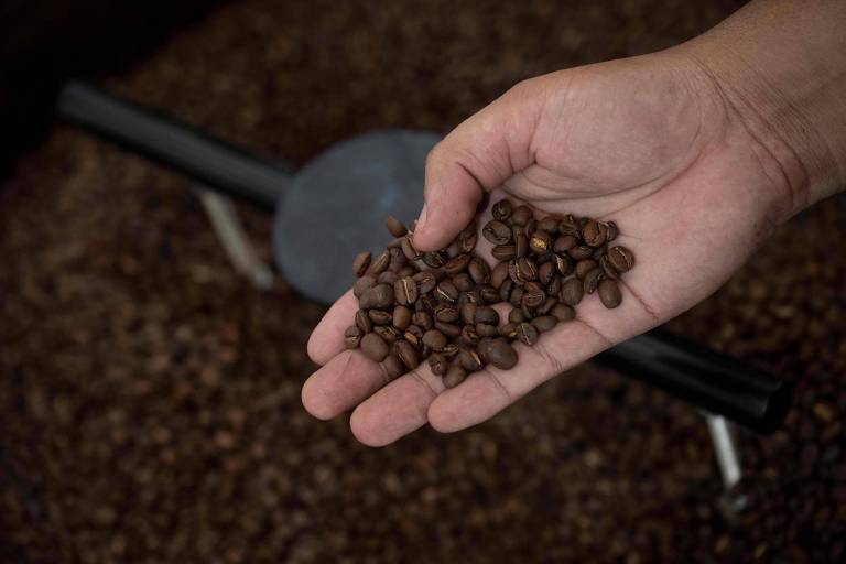 Em 2025， há uma queda na produção de café arábica e uma recuperação na de conilon