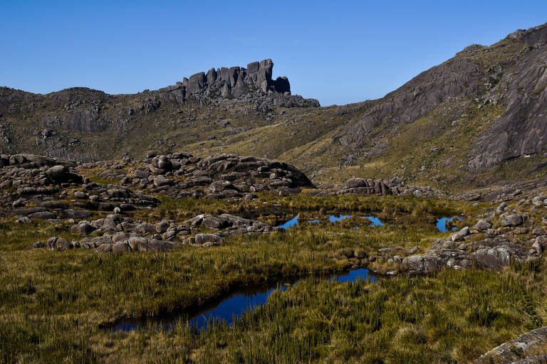 Prateleiras na Parte Alta do Parque Nacional do Itatiaia