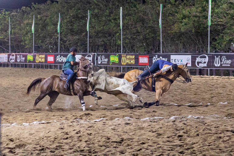 A imagem mostra dois cavaleiros em uma competição de laço， montados em seus cavalos. Um dos cavaleiros está tentando laçar um boi que está correndo na direção oposta. O cenário é uma arena de terra， com cercas e banners publicitários ao fundo. A iluminação é noturna， destacando a ação da competição.