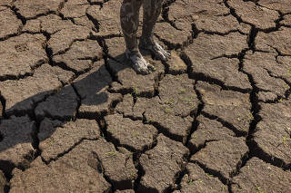 MUDANÇAS CLIMÁTICAS NA AMAZÔNIA