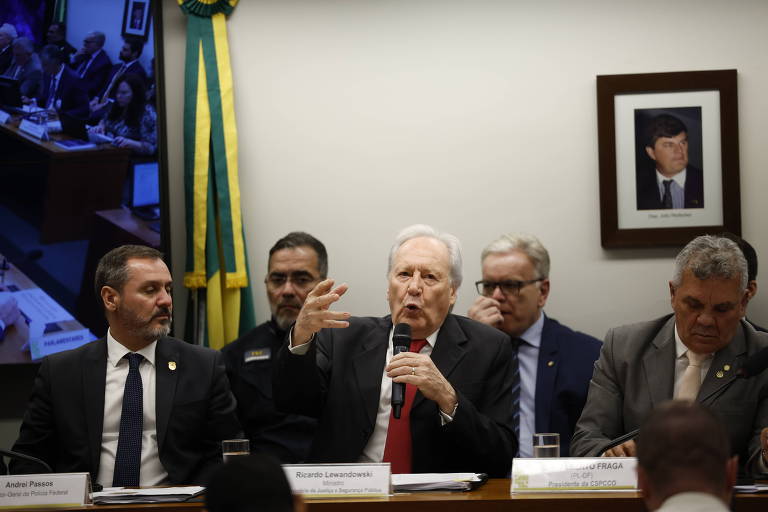 Lewandowski diz que novo decreto libera clubes de tiro já instalados próximos de escolas