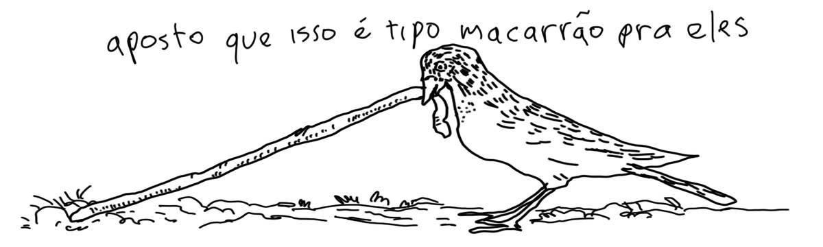 A tirinha em preto e branco de Estela May, publicada em 04/12/24, traz um passarinho comendo uma minhoca. Acima da imagem, “aposto que isso é tipo macarrão pra eles”