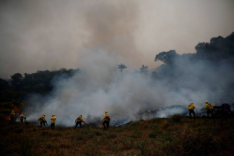 Incêndios na Amazônia Legal levam a recorde de emissões de carbono em mais de duas décadas