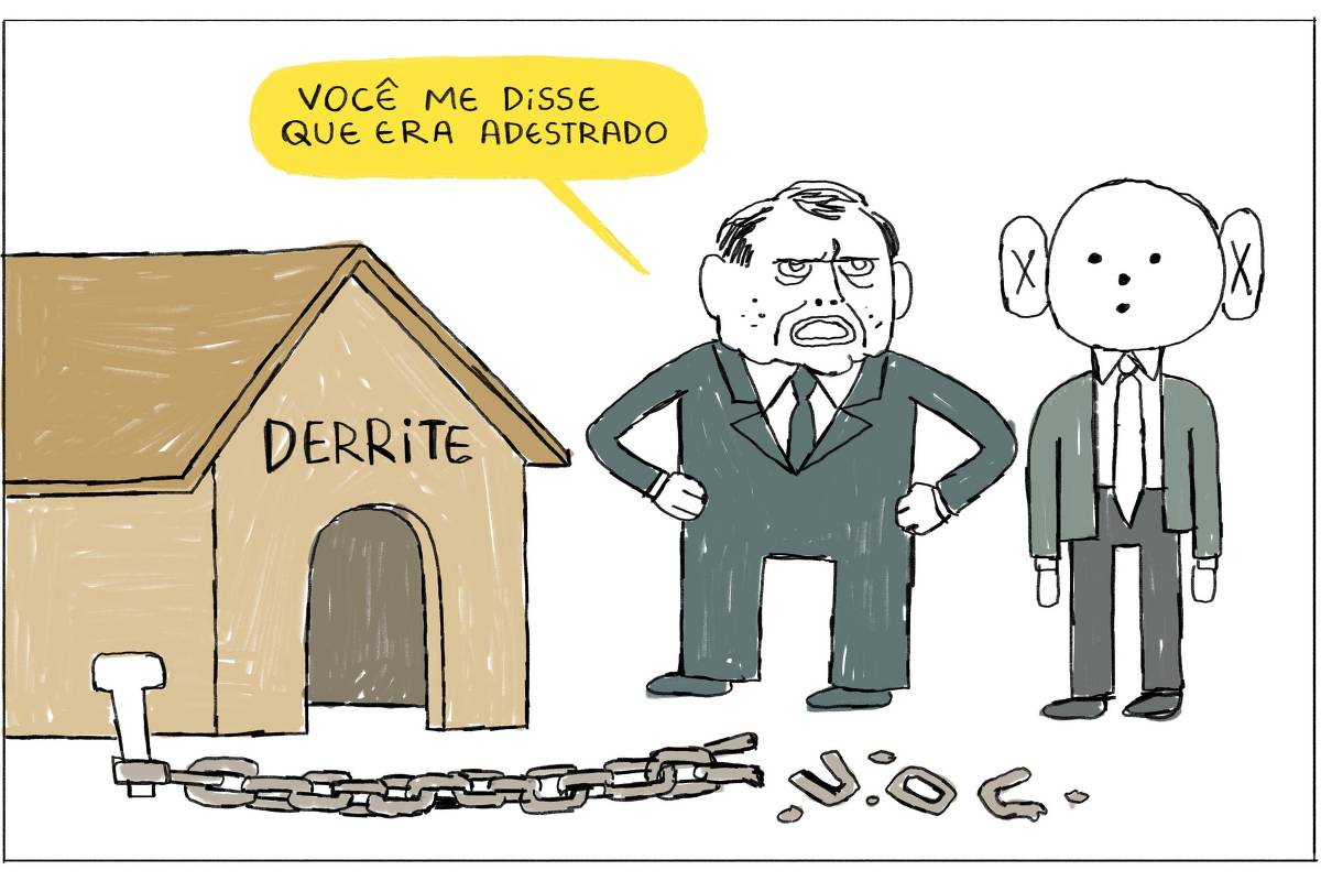 A charge tem apenas um quadro. Ela mostra no canto esquerdo uma casinha de cachorro com o nome “Derrite” grafado acima da entrada. Uma corrente se estende pelo quadro até se mostrar rompida. O governador Tarcísio de Freitas e um assessor estão conversando. O primeiro repreende o segundo: “Você me disse que era adestrado!”