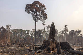 MUDANÇAS CLIMÁTICAS NA AMAZÔNIA