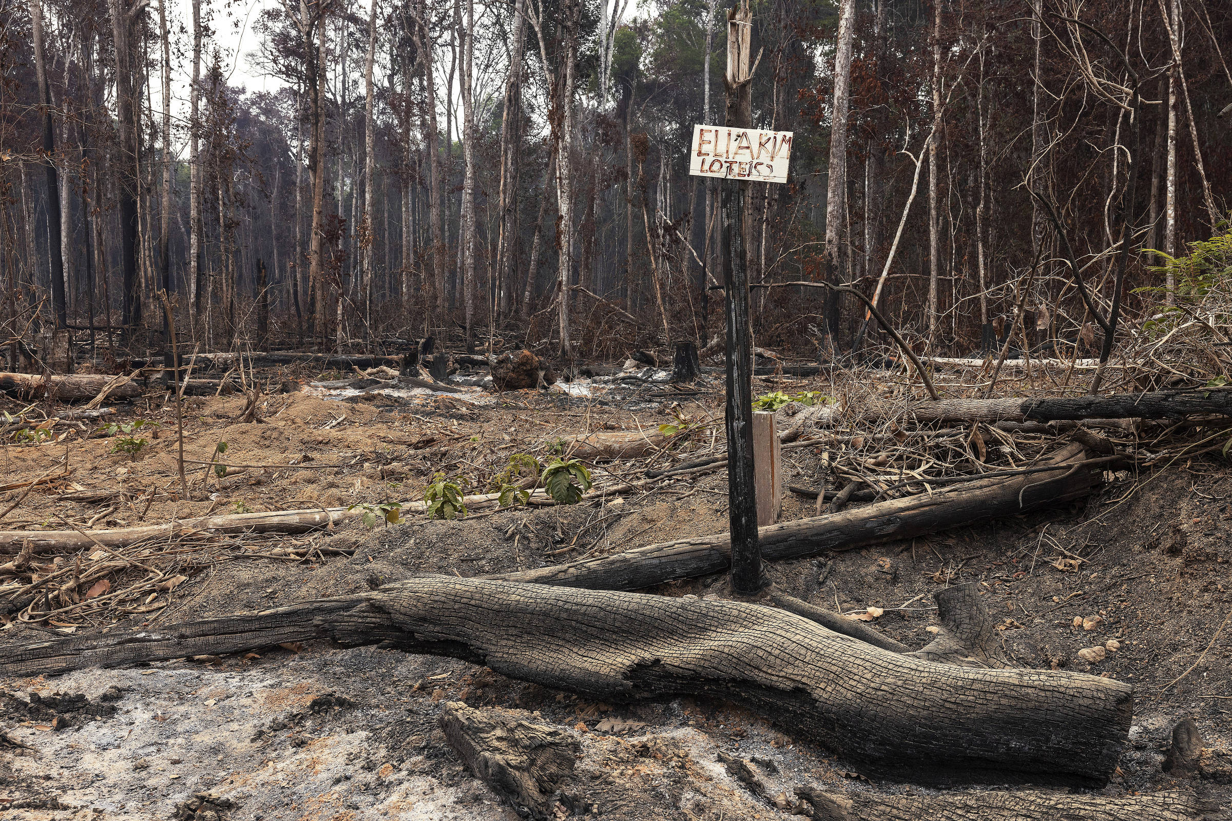 Placa sinaliza lote em área desmatada