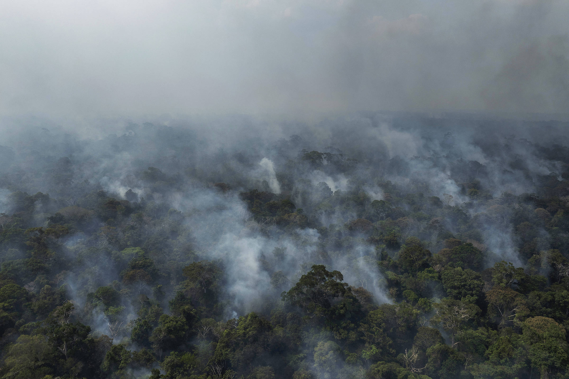 Fogo e fumaça na floresta vistos de cima